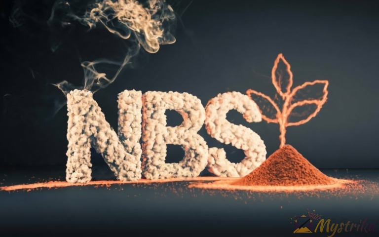 Decoding Common Texting Abbreviations: NBS, JS, JSP, and More